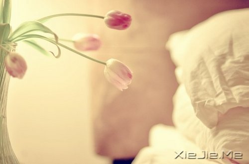 簲Z(y)һ(g)ȥJ(rn)n (3)