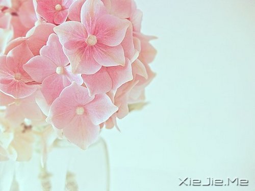 簲Z(y)һ(g)ȥJ(rn)n (6)