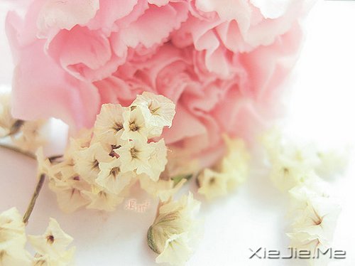 簲Z(y)һ(g)ȥJ(rn)n (7)