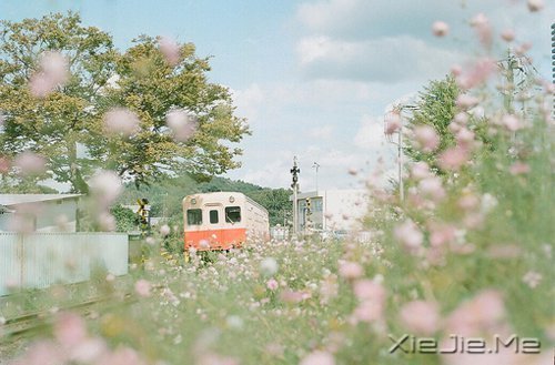 簲ZֻҪSr(sh)_ʼ (4)