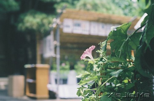 簲ZֻҪSr(sh)_ʼ (6)