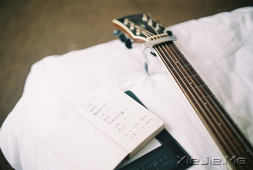 簲ZֻҪ룬Sr(sh)_ʼ (12)