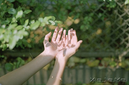 簲ZԼ·õԼ (2)