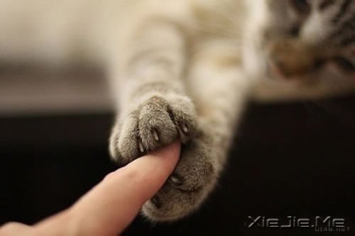 ZҪ?yn)y^ɢl(f) (11)