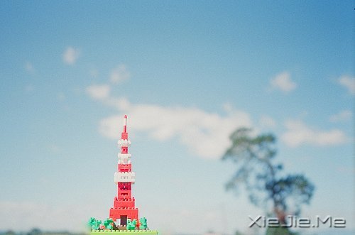 簲ZԼ·õԼ (7)