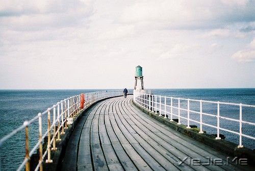 簲ZԼ·õԼ (10)