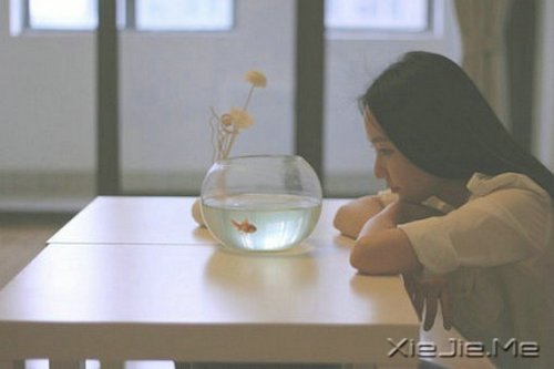 Zo^ؓһ· (3)