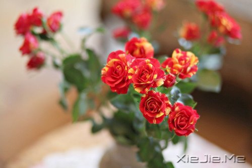 簲ZԼǄeеĿ (2)