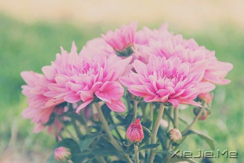 簲ZԼǄeеĿ (3)