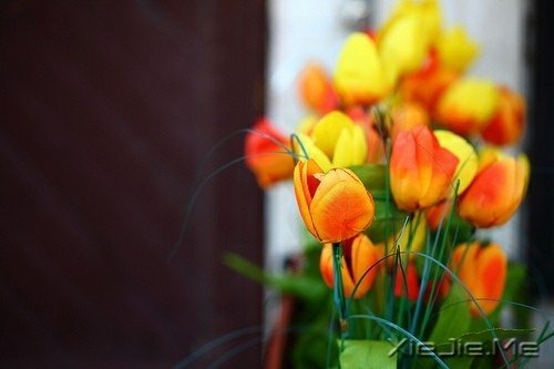 簲ZԼǄeеĿ (4)