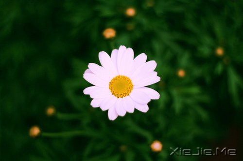 簲ZԼǄeеĿ (5)