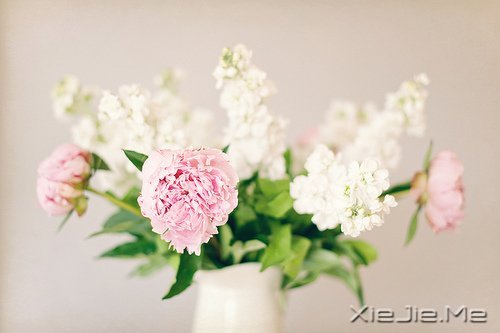 簲ZԼǣǄeеĿ (8)