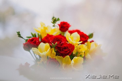 簲ZԼǄeеĿ (9)