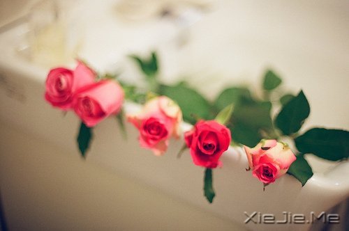 簲ZԼǣǄeеĿ (11)