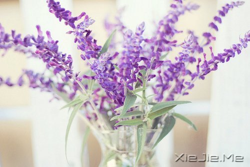簲ZԼǄeеĿ (12)