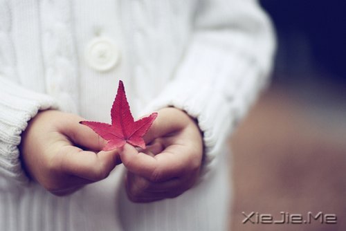 簲Zƺŕ̎̎ (9)