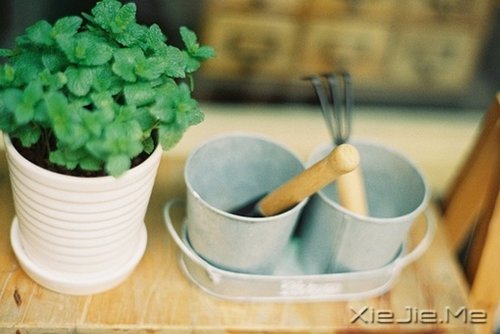 簲Zƺ飬ŕ̎̎ (11)