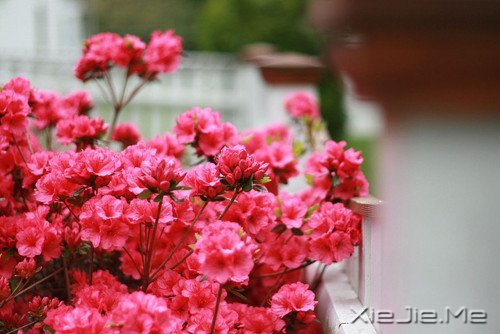 簲Z(y)ǰߣ㌢h(yun)ͣ (8)