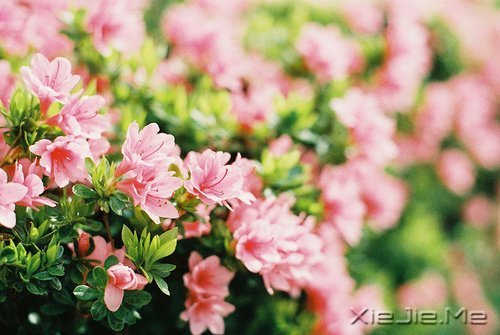 簲Z(y)ǰߣ㌢h(yun)ͣ (9)
