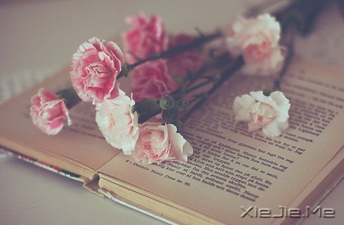 ZrgH׌㿴͸eҲ׌JԼ (7)
