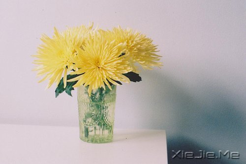 Z˲ںҹЛ]й (1)