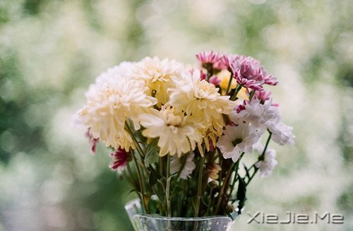 Z˲ںҹЛ]й (7)