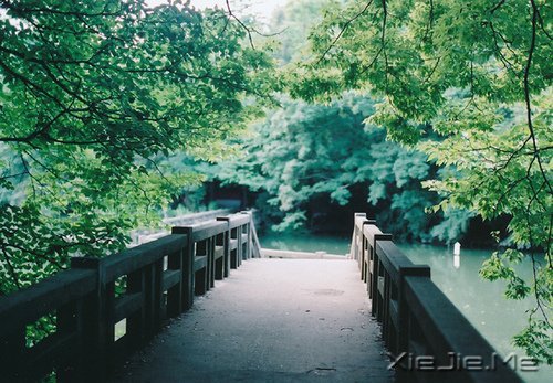 簲Z^ȥľ^ȥˣȻ (2)