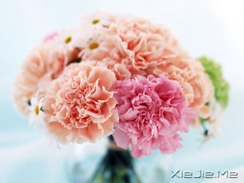 簲Z(y)ppĺ\\΢Ц (4)