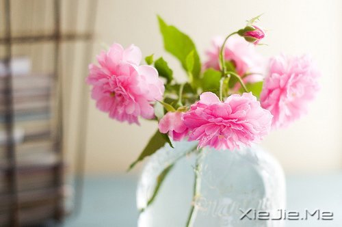 簲Z(y)ppĺ\\΢Ц (7)