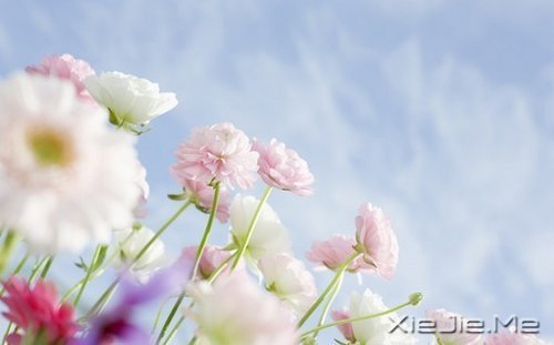 簲Z߽·^(dng)µ (3)