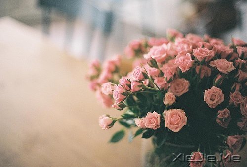簲Z挦(f)s֚gϲ (6)