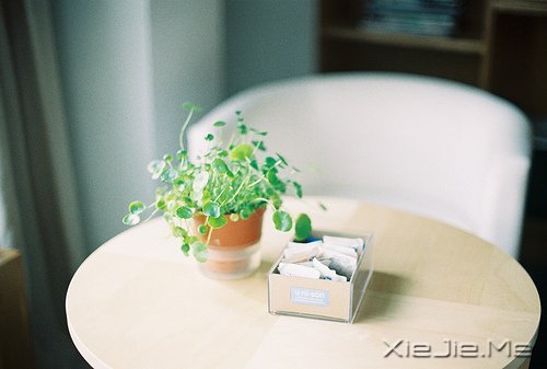 簲Z挦(f)s֚gϲ (8)