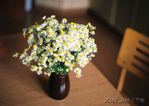 Zÿһഺnϣӛһֱ (5)