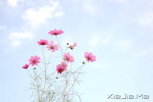 簲Z߽·^(dng)µ (1)