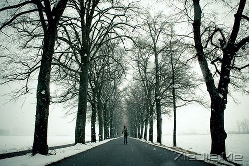 Zһ˺¹ªɂ˺¹ؓ (6)