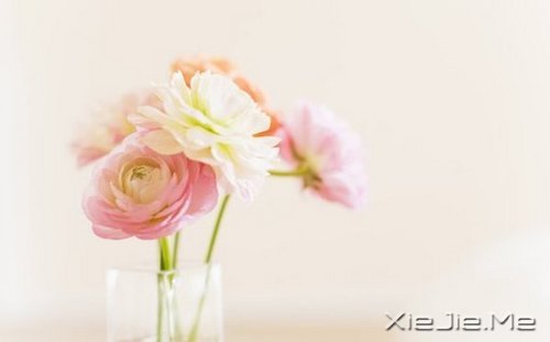 簲Z҂ڄe˵ĹԼۜI (1)