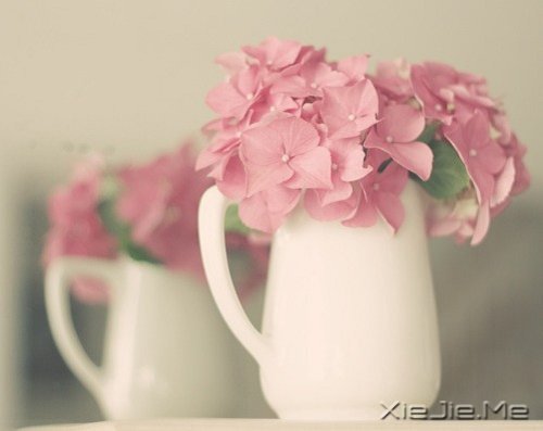 簲Z҂ڄe˵ĹԼۜI (2)
