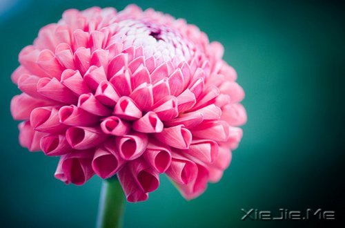 簲Z҂ڄe˵ĹԼۜI (3)