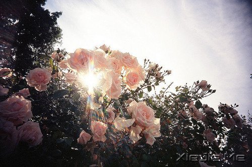 簲Z҂ڄe˵ĹԼۜI (4)