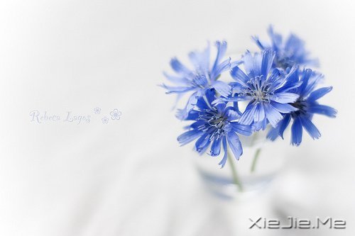 簲Z҂ڄe˵ĹԼۜI (7)
