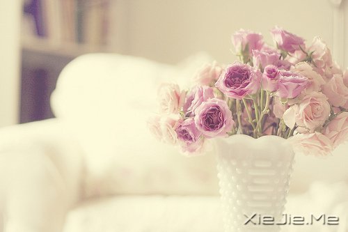 簲Z҂ڄe˵ĹԼۜI (8)