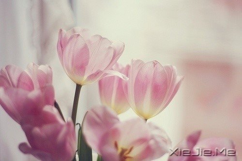 簲Z҂ڄe˵ĹԼۜI (9)