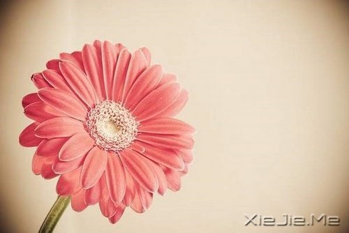 簲Z҂ڄe˵ĹԼۜI (10)