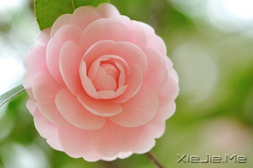 簲ZʼK (1)
