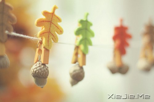 簲ZģʼK (8)
