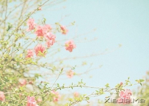 簲Zr(sh)Ҫʧr(sh)Ҫ_ (5)