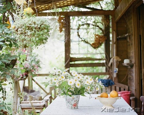 Zxԏጿ (5)