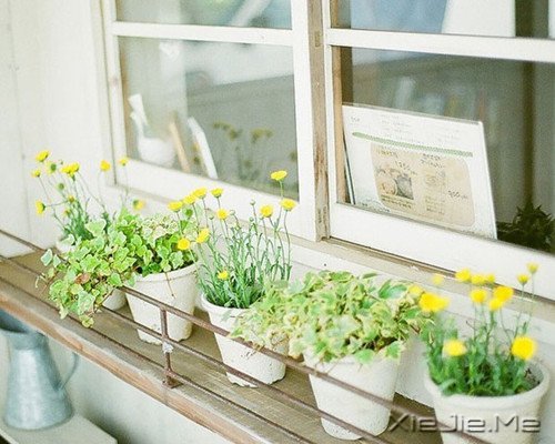 Zxԏጿ (8)
