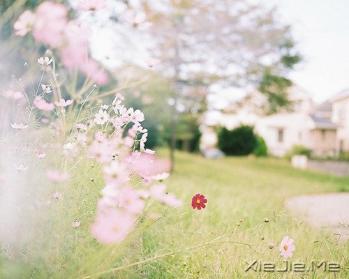 Zxԏጿ (10)