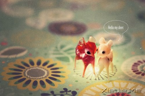 ZW(xu)õĄeõԼ (8)